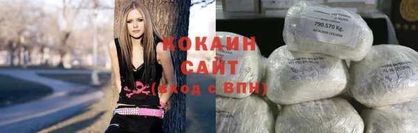 прущие крисы Абаза