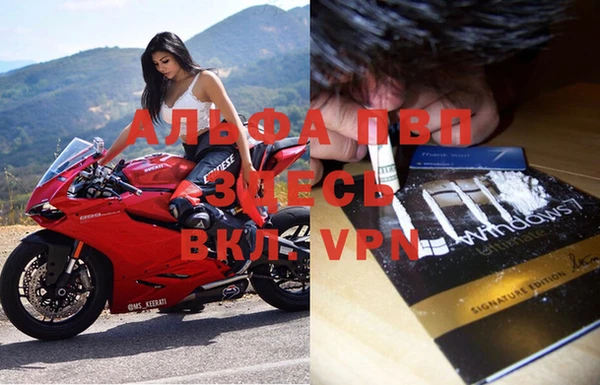 прущие крисы Абаза